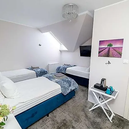Hotel Palac Dabrowka *