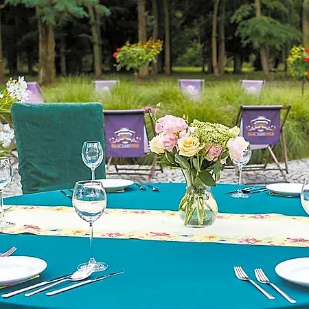 Hotel Palac Dabrowka *