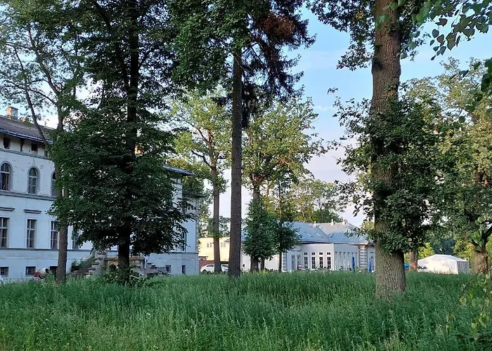 Hotel Palac Dabrowka